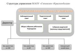 Структура управления образовательного учреждения
